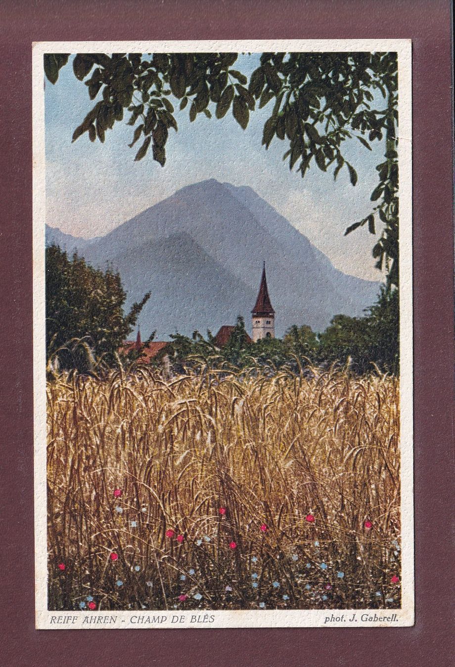 Cartoline postali: REIFF AHREN - CHAMP DE BLE - 1933 – Usato da Pully venduto da nicecards