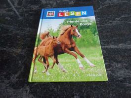 WAS IST WAS Erstes Lesen Pferde und Ponys  interessant  JUL