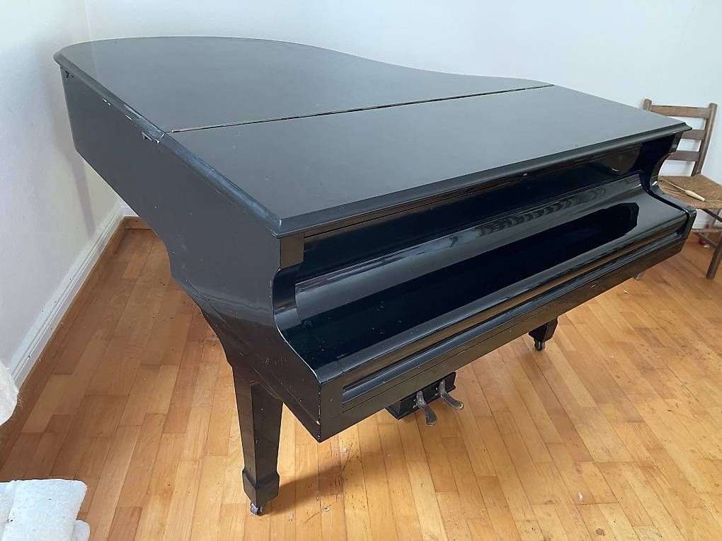 Strumenti musicali: Schwarzer Flügel Petrof – Usato da Münchenstein venduto da Aubacca 1