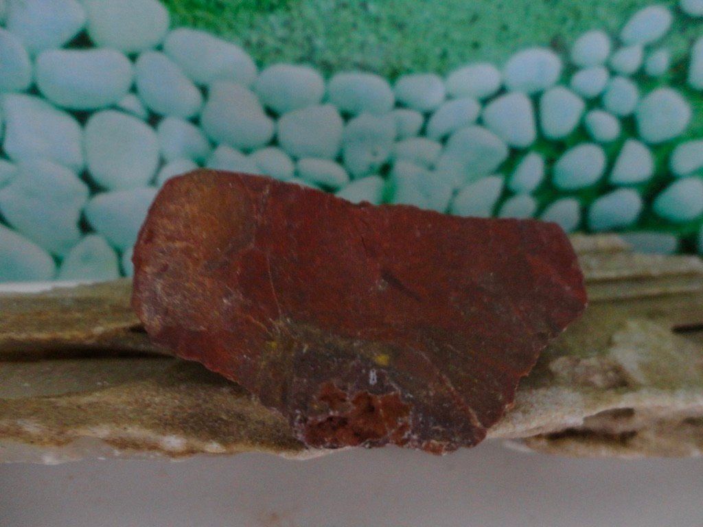 Minerali & Pietre curative: Breckzien-Jaspis roh – Nuovo (secondo la descrizione) da Biberist venduto da Steine