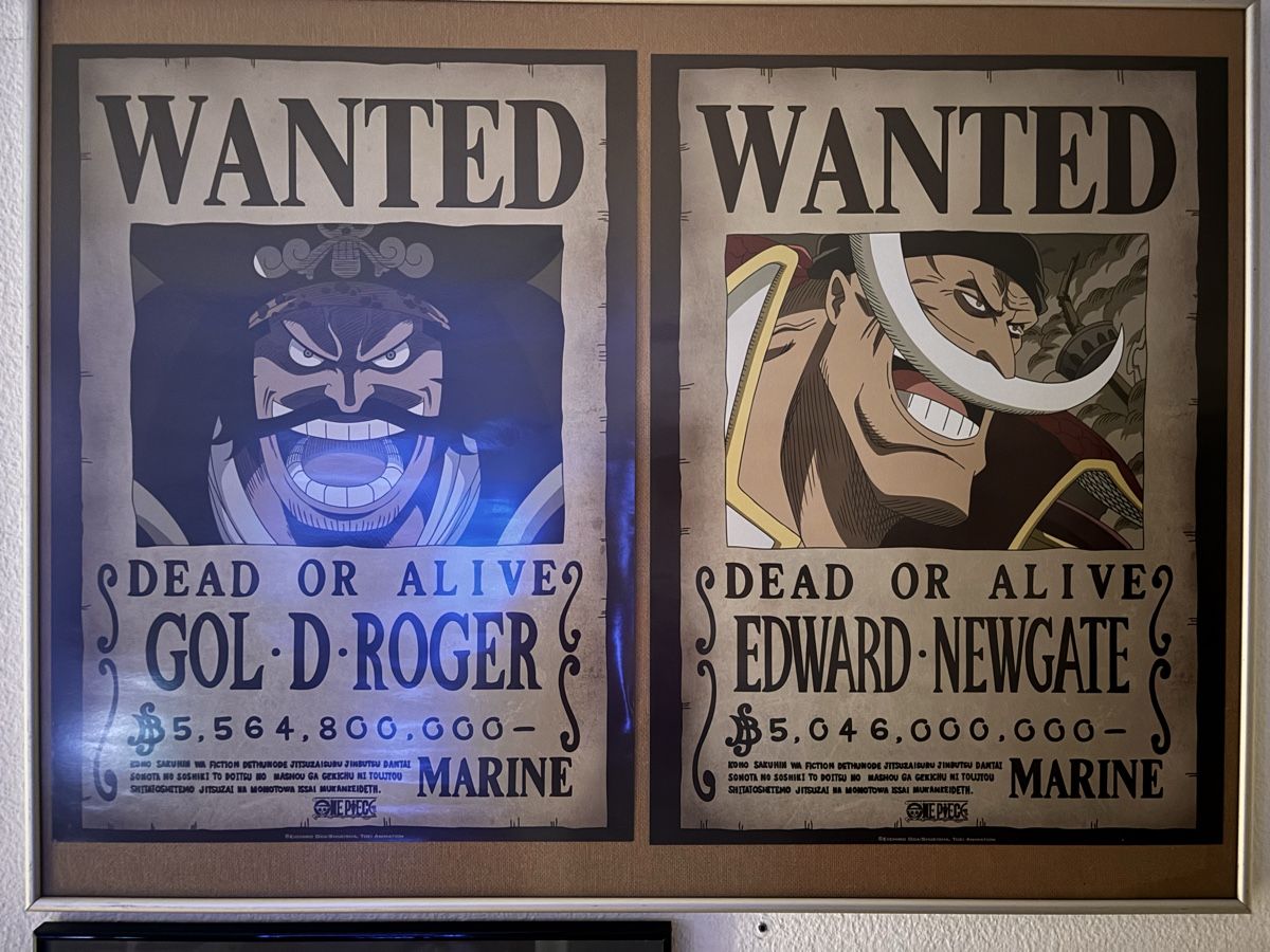 Foto & Immagini: One piece poster – Usato da Steinhausen venduto da anto_46s8n 1