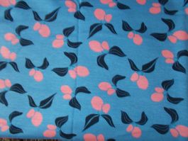 Alpenfleece Coupon 55x110cm / Blau Kirschen