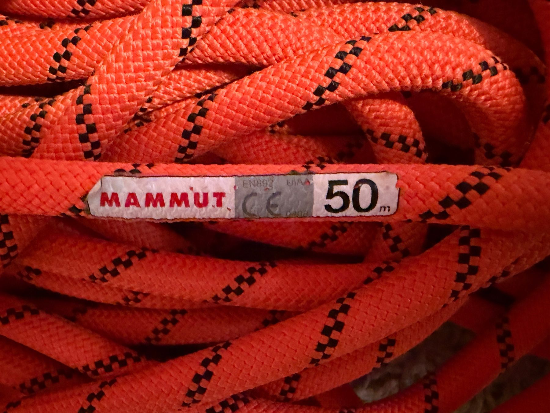 Mammut Corde: Mammut Seil 50m – Usato da Spiez venduto da Ozu 1