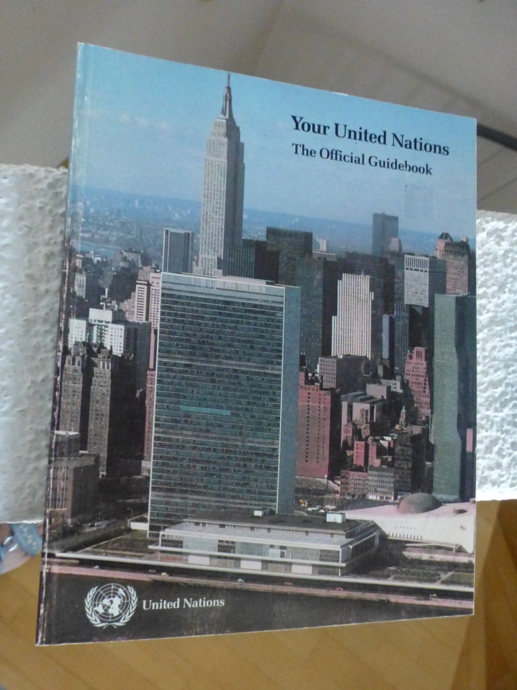 Libri: Your United Nations Guidebook – Usato da Hergiswil NW venduto da annettelia