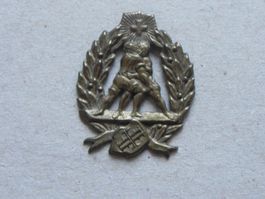 Evtl. ESAF Medaille Abzeichen Eidg. Schwingfest um 1900