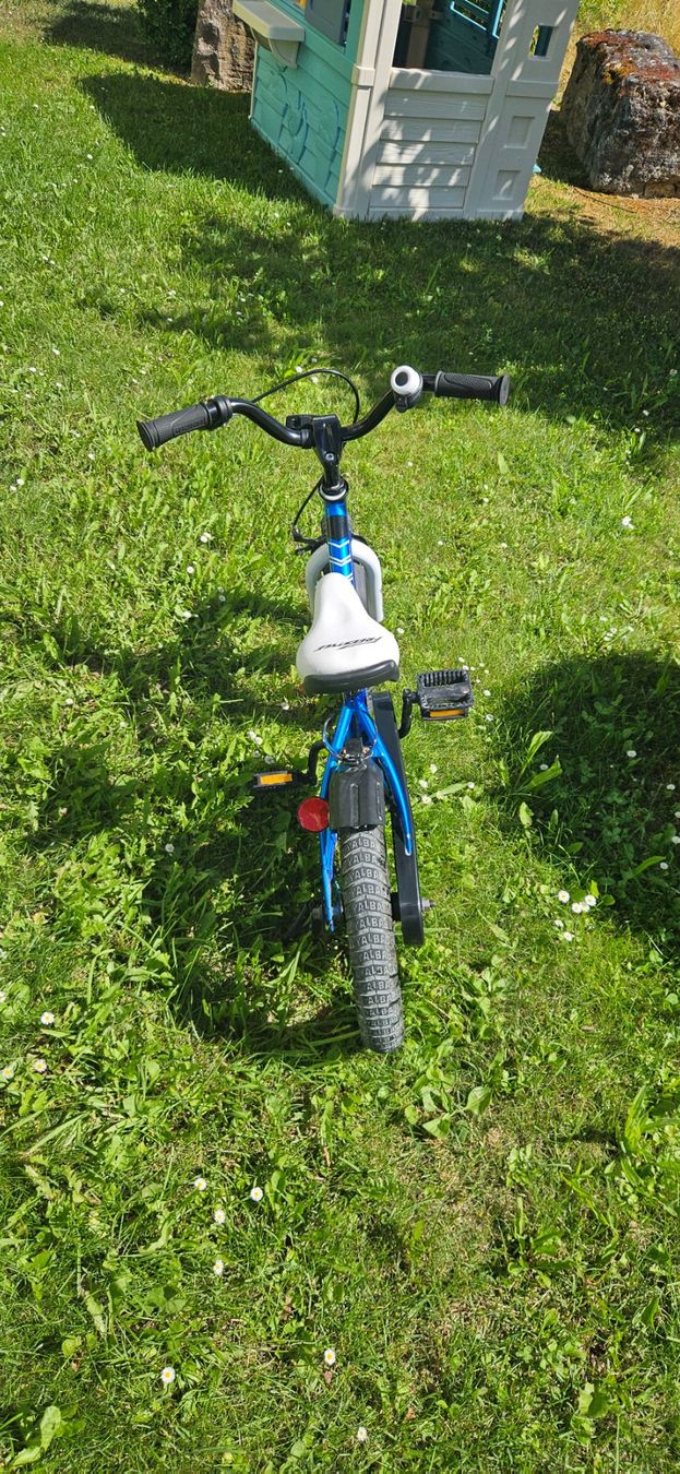 Vélos: Royal Baby Freestyle Kindervelo – D'occasion à Thayngen par lopola-sh 2
