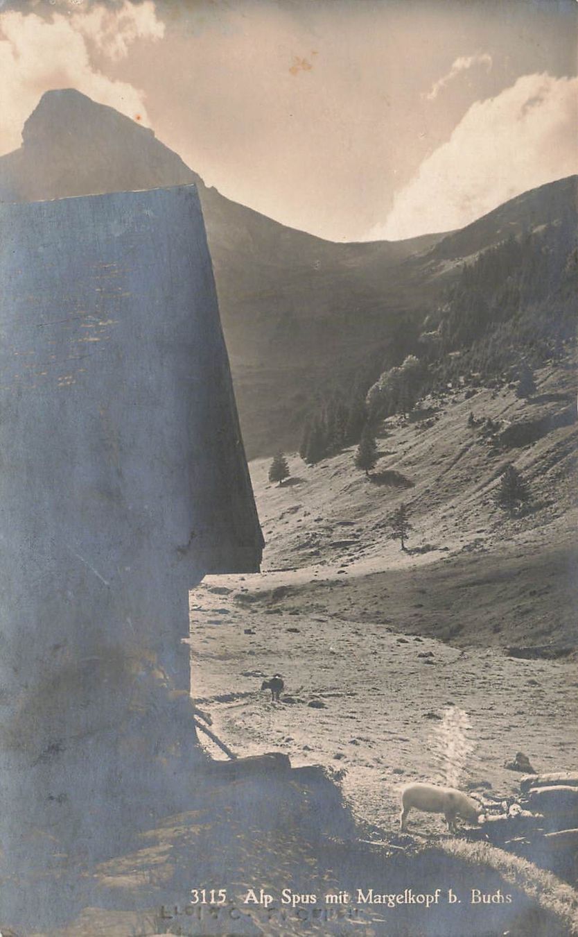 Cartoline postali: Alp spus mit margelkopf buchs – Usato da Biasca venduto da Blenio71