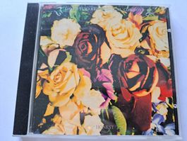 Cd Dave Stewart and the spiritual cowboys - Honest