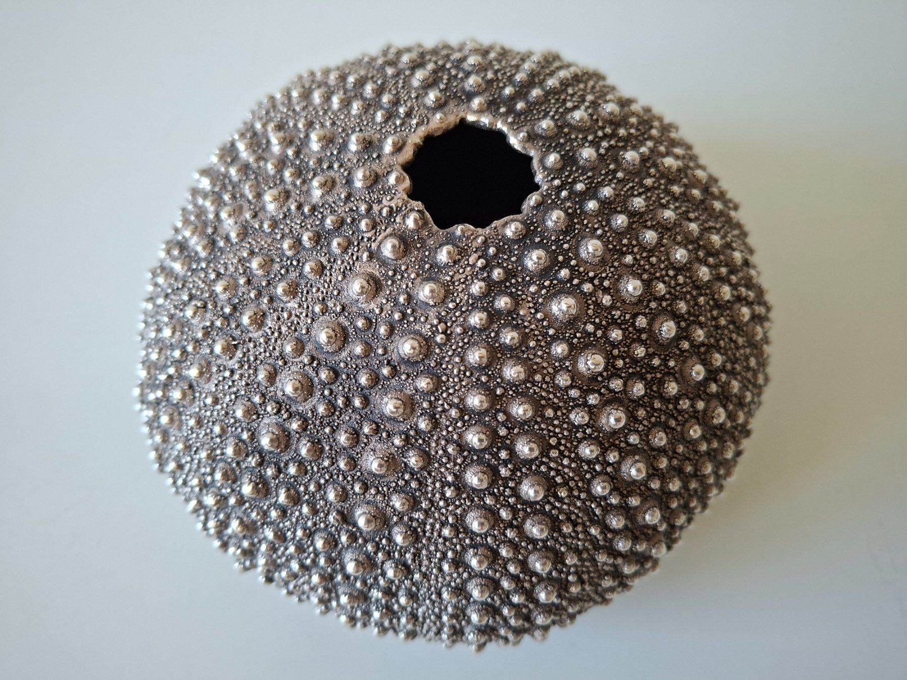 Alle Dekorationen: echtes Seeigel-Skelett  mit Silberüberzug – Gebraucht aus Zürich von Daniel517 3