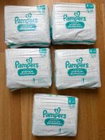 Pampers Premium Protection Grösse 4 , 5 Packungen 145 Stück