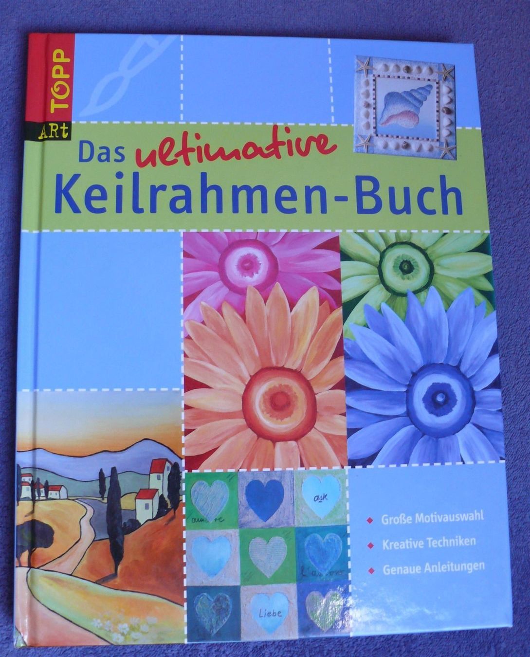 Libri: Das ultimative Keilrahmen-Buch / Topp 2010 – Usato da Muttenz venduto da Negnuja