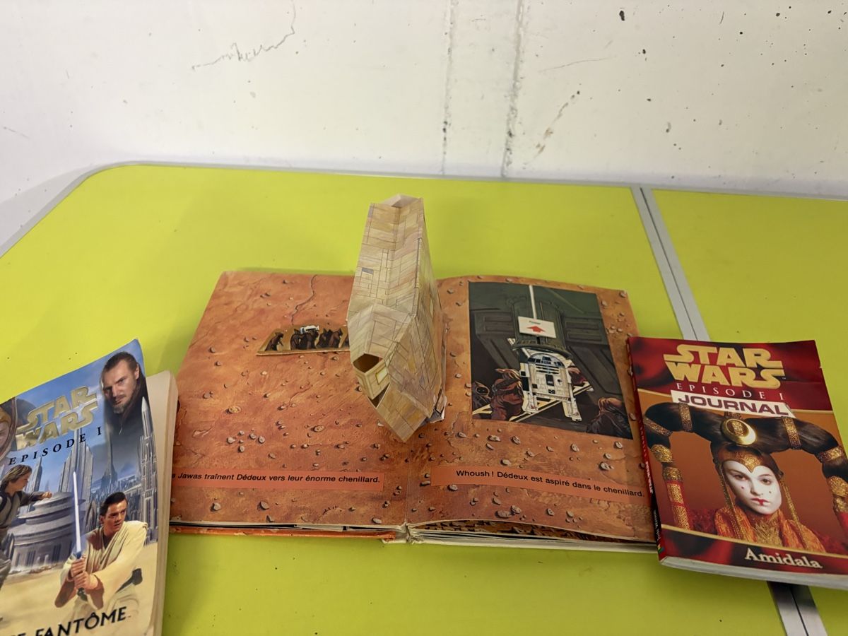 Libri: Livres star wars – Usato da Villarimboud venduto da hampton2012 2