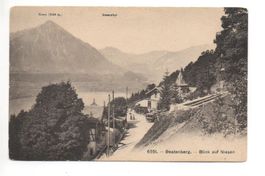 BEATENBERG Blick auf Niesen