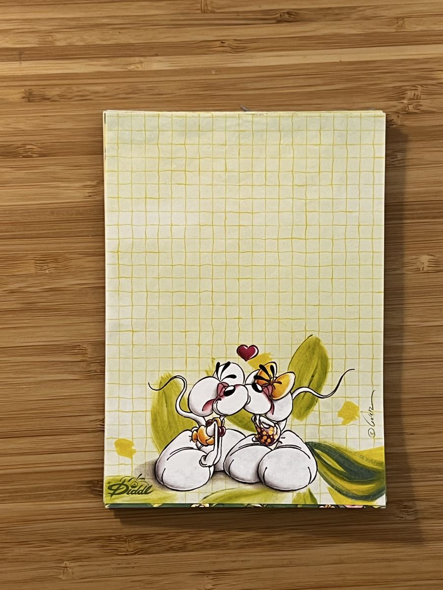 Papiere: 46 verschiedene A6 Diddle Papierseiten – Gebraucht aus Läufelfingen von stephiesheena 6