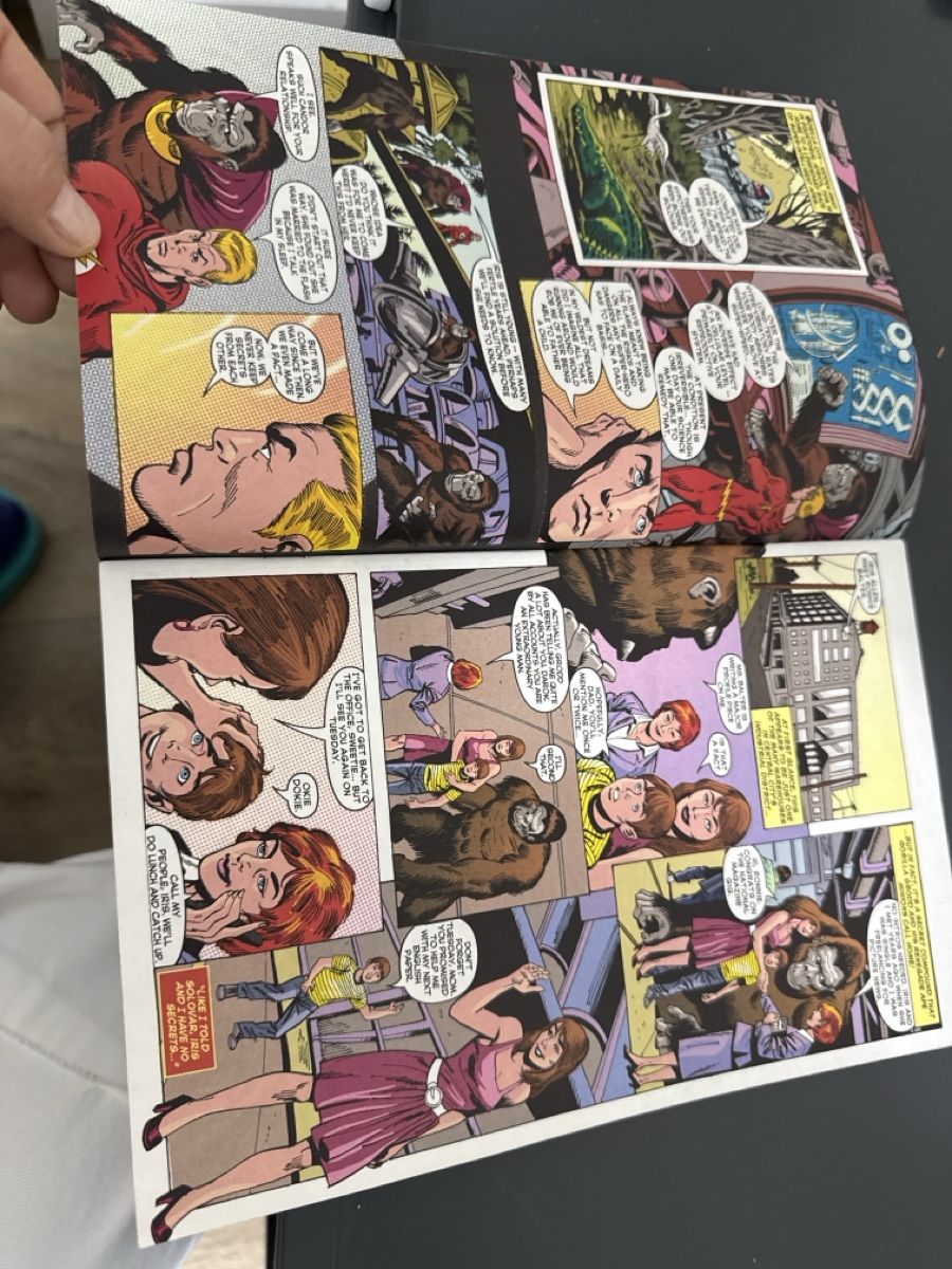 Fumetti: The Flash Retroactive  – Usato da Staad SG venduto da Dut_wwd8 3