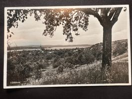 Postkarte Steckborn 1931 (P447)