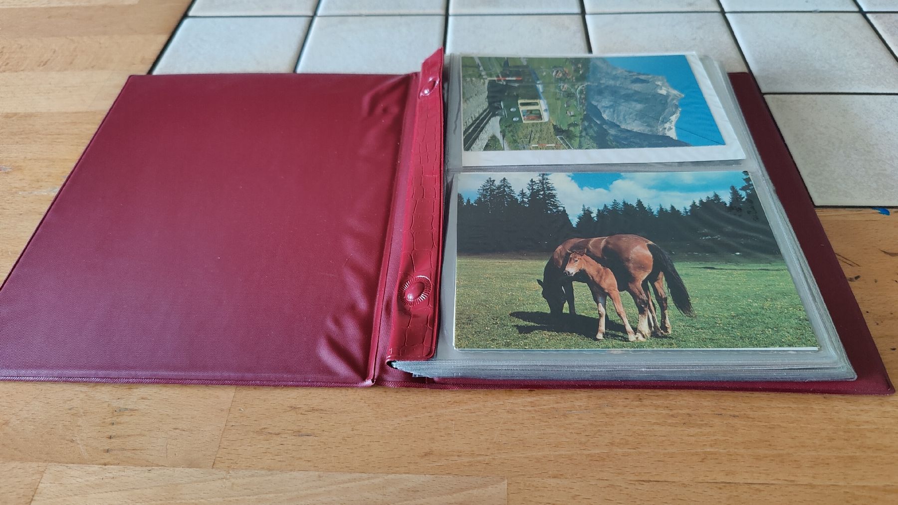 Cartoline postali: Alte Ansichtskarten Sammlung im Album (L15) – Usato da Neuenhof venduto da SchnaeppliAllerlei 1
