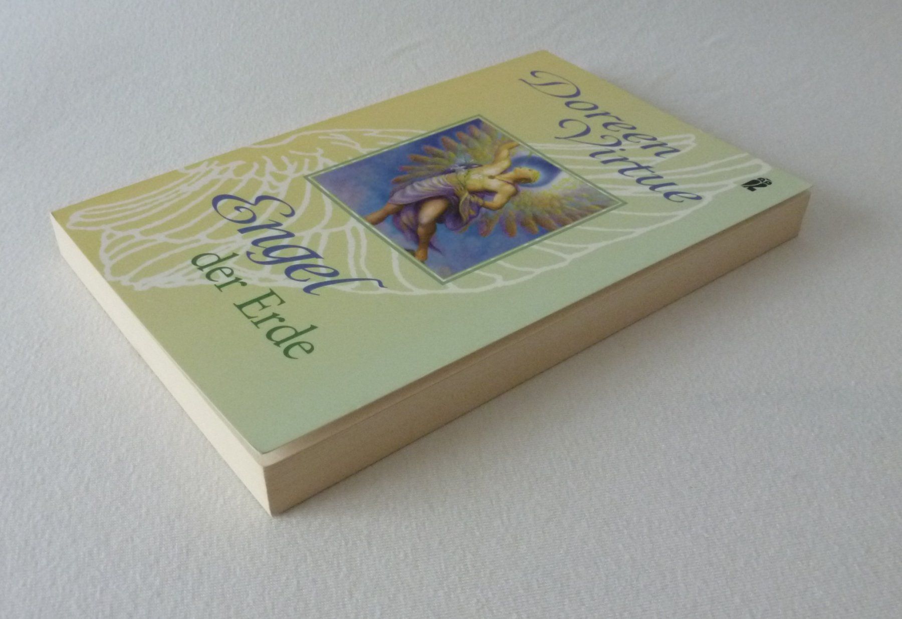Bücher: Engel der Erde – Neu (gemäss Beschreibung) aus Mauren von Yeelen 2