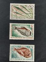 Kongo - 3 x Fische