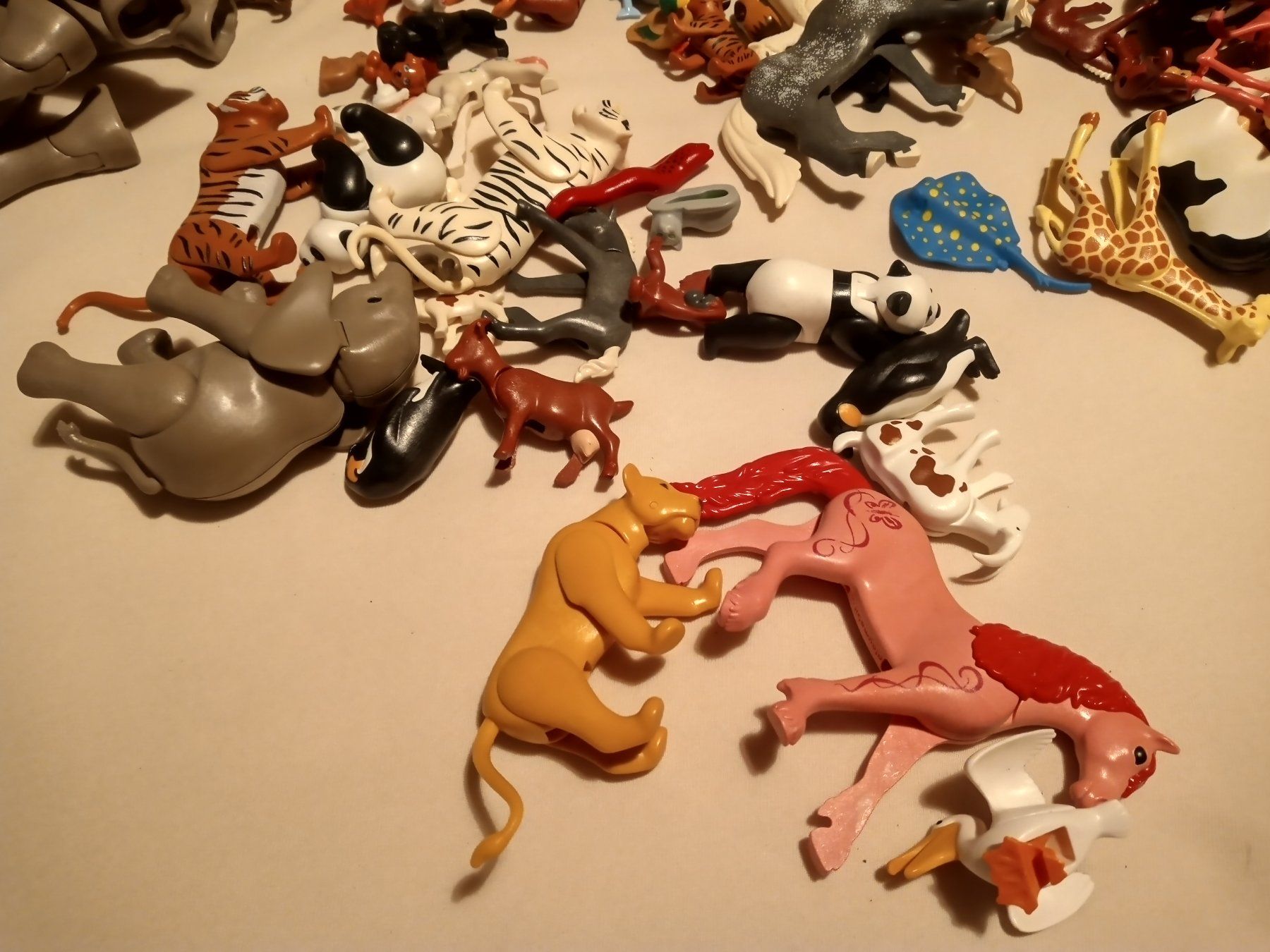 Playmobil Giocattoli: Playmobil Tiere – Usato da Prez-vers-Siviriez venduto da Monija70 4