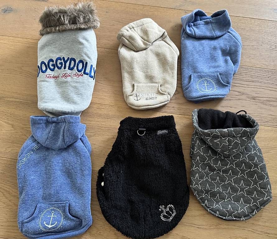Abbigliamento: Hunde Hoodie – Usato da Büron venduto da Manu864