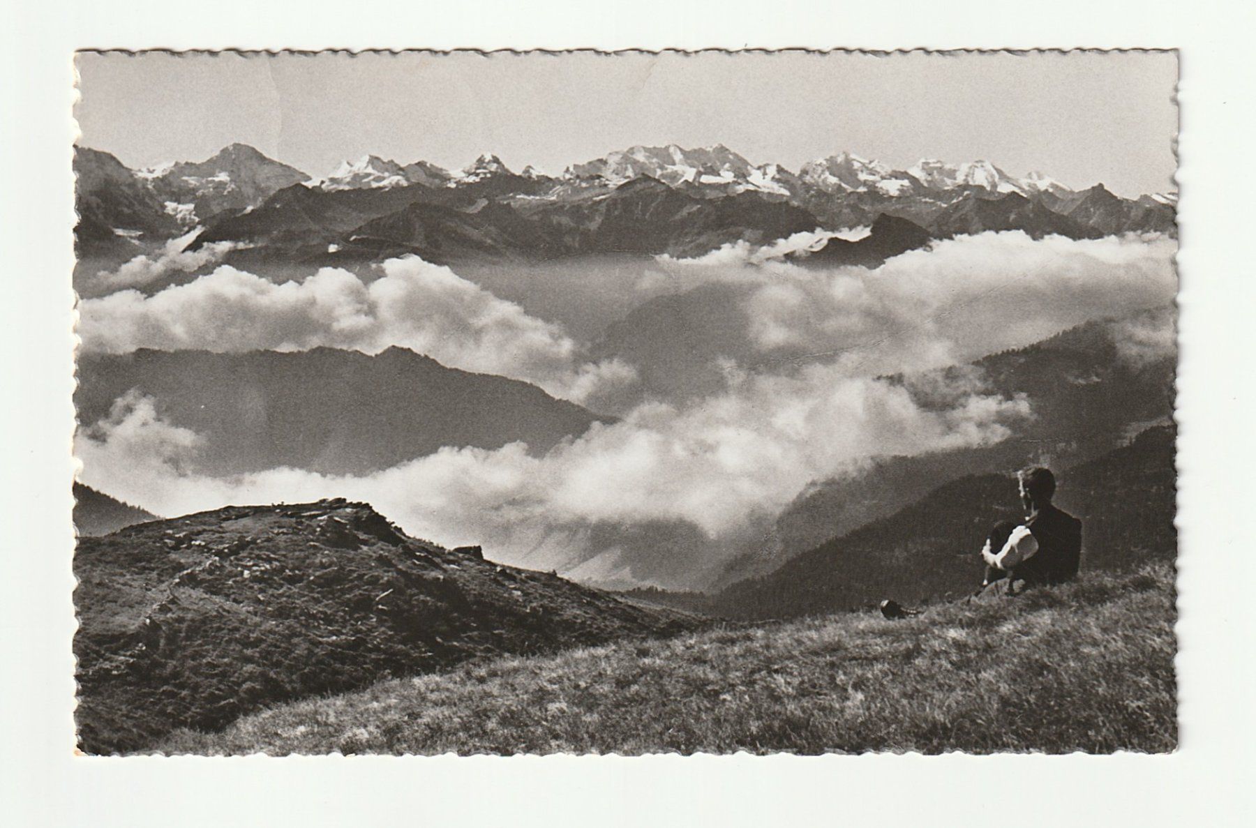 Cartoline postali: Ansichtskarte Hohgant Berneralpen 1941 – Usato da St. Gallen venduto da Ricardo_Deals