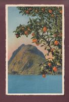 LUGANO - Aranci - S. Salvatore