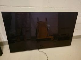 LG OLED 55 Zoll