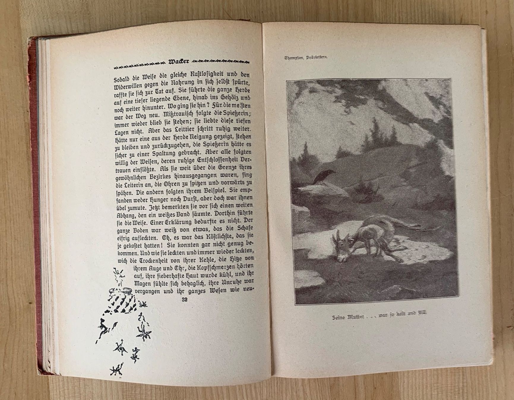 Bücher: Tiere Prärietiere Kosmos – Gebraucht aus Zürich von ruedigg 1