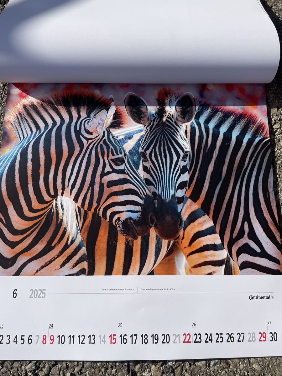 Kalender: Kalender 2025 "Magic Moments" neu continental – Neu und originalverpackt aus Wattwil von Parase 4