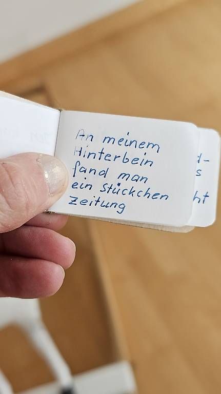 Giocattoli: Holzpferd 1921 – Usato da Hunzenschwil venduto da Matthinique 2