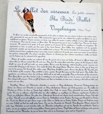 Bücher: Le ballet des oiseaux Vogelreigen – Gebraucht aus Wetzikon ZH von strubeli024 1