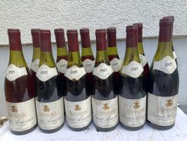 12 Fl. Saint-Amour, Produzent Chevalier, Jahrgang 1985