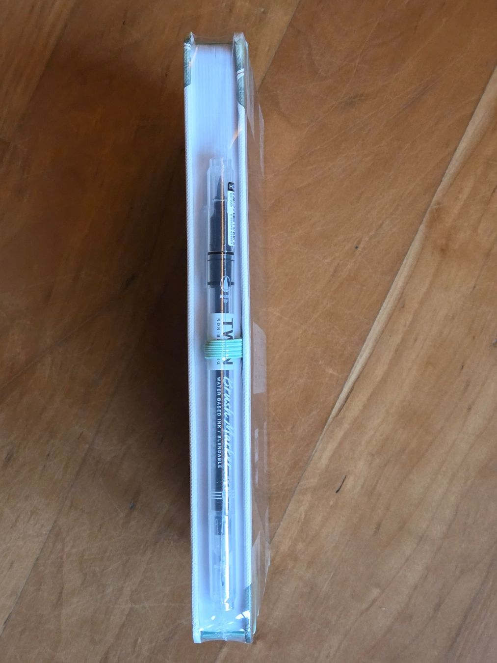 Libri: Bullet / Journal mit Eukalyptus Design – Nuovo e nell'imballaggio originale da St. Gallen venduto da Razoon77 1