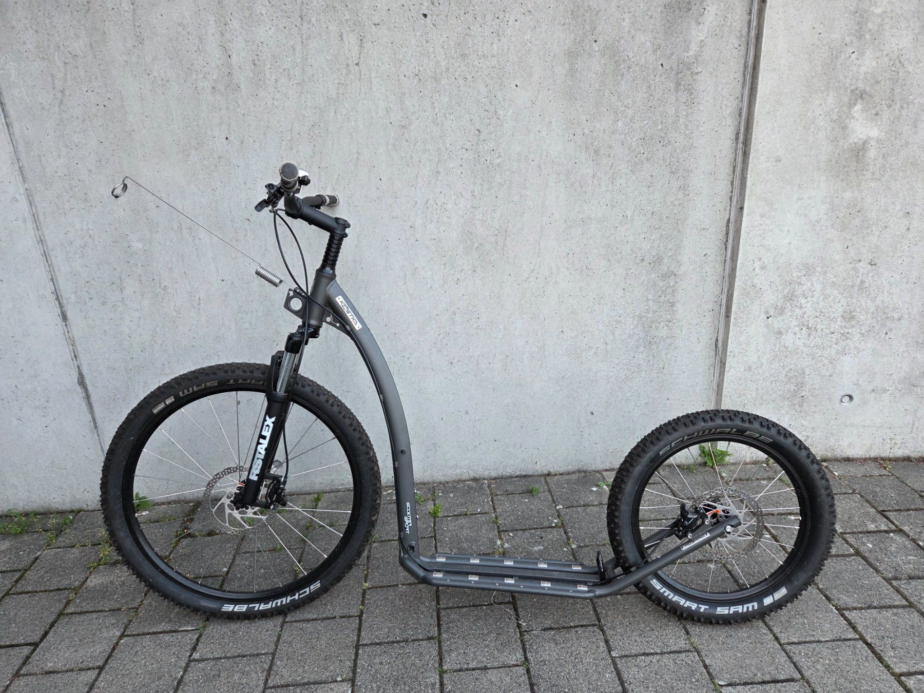 Kickboard: Kostka Dogscooter – Usato da Hüntwangen venduto da Sonne054