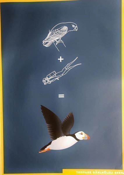 Posters & Illustrations: Papagei und Taucher – Neuf (Voir description) à Bern par Vintage-Art-Poster