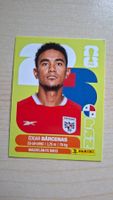 Panini WM 2026 Sticker PAN 14