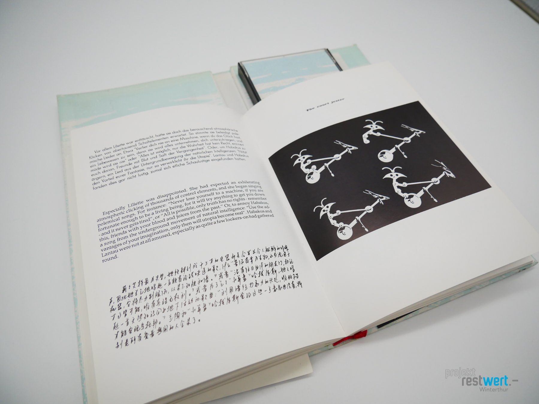 Libri: EDITION RIANONN - Die Reise zu den Seen – Usato da Winterthur venduto da Restwert_Winterthur 3