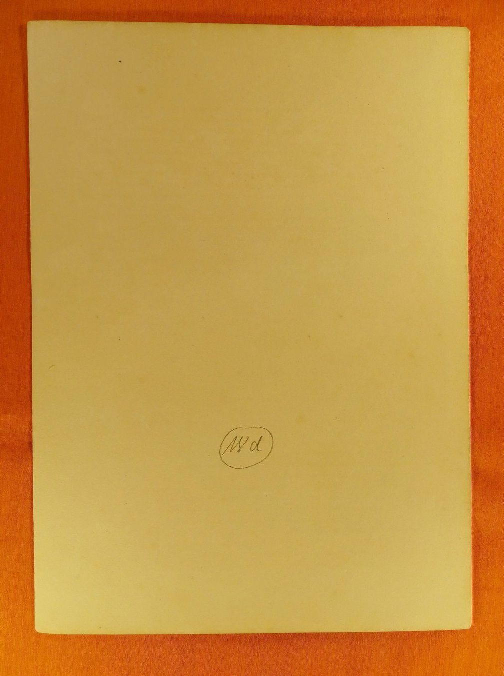 Grafica & Litografie: PLUMERIA ACUMINATA, LITHOGRAPHIE UM 1880 – Usato da Grüningen venduto da Kartensammler 4