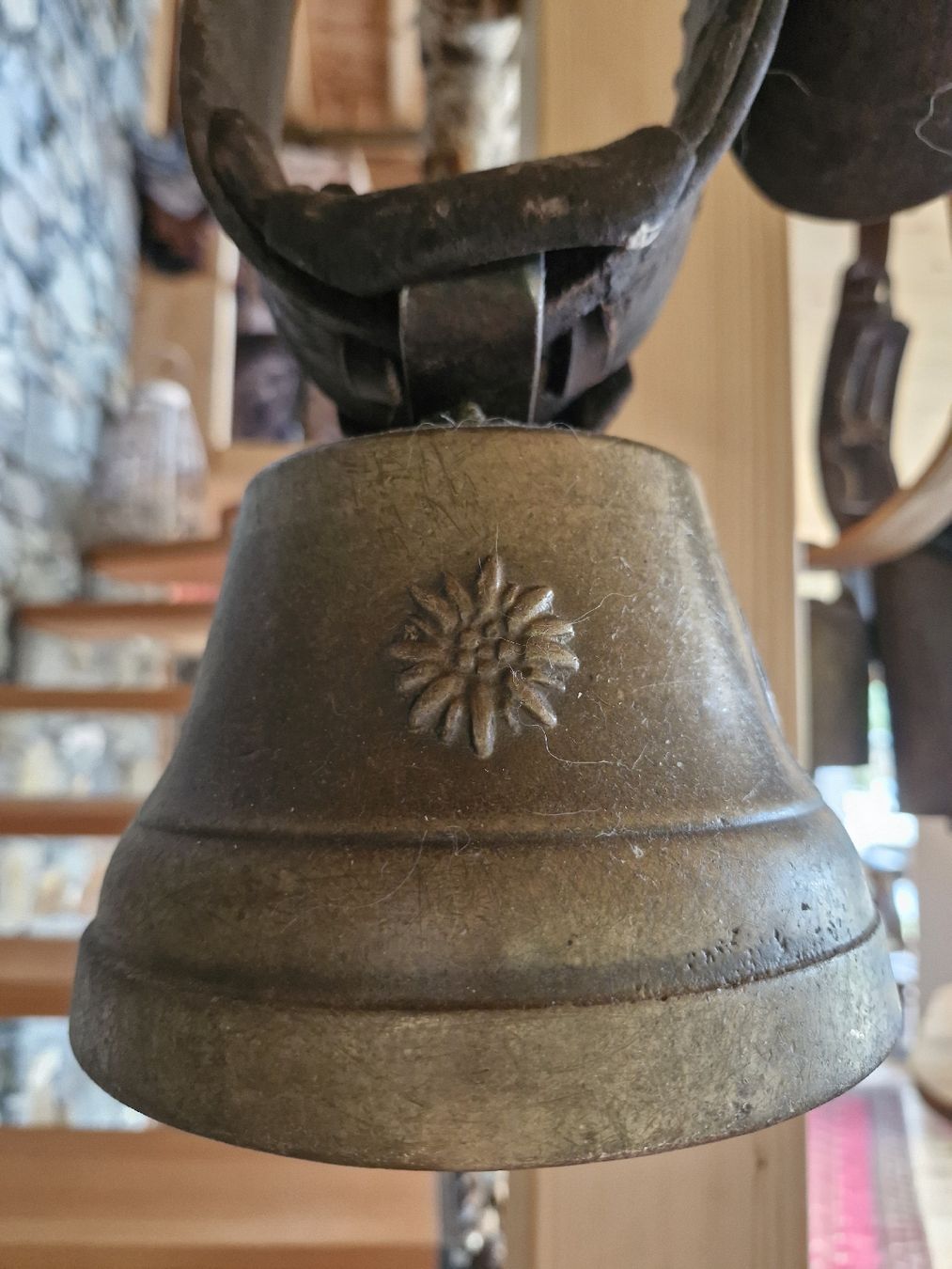 Campanacci mucche: Glocke Treichel  – Usato da Guarda venduto da rue_bpd7 1