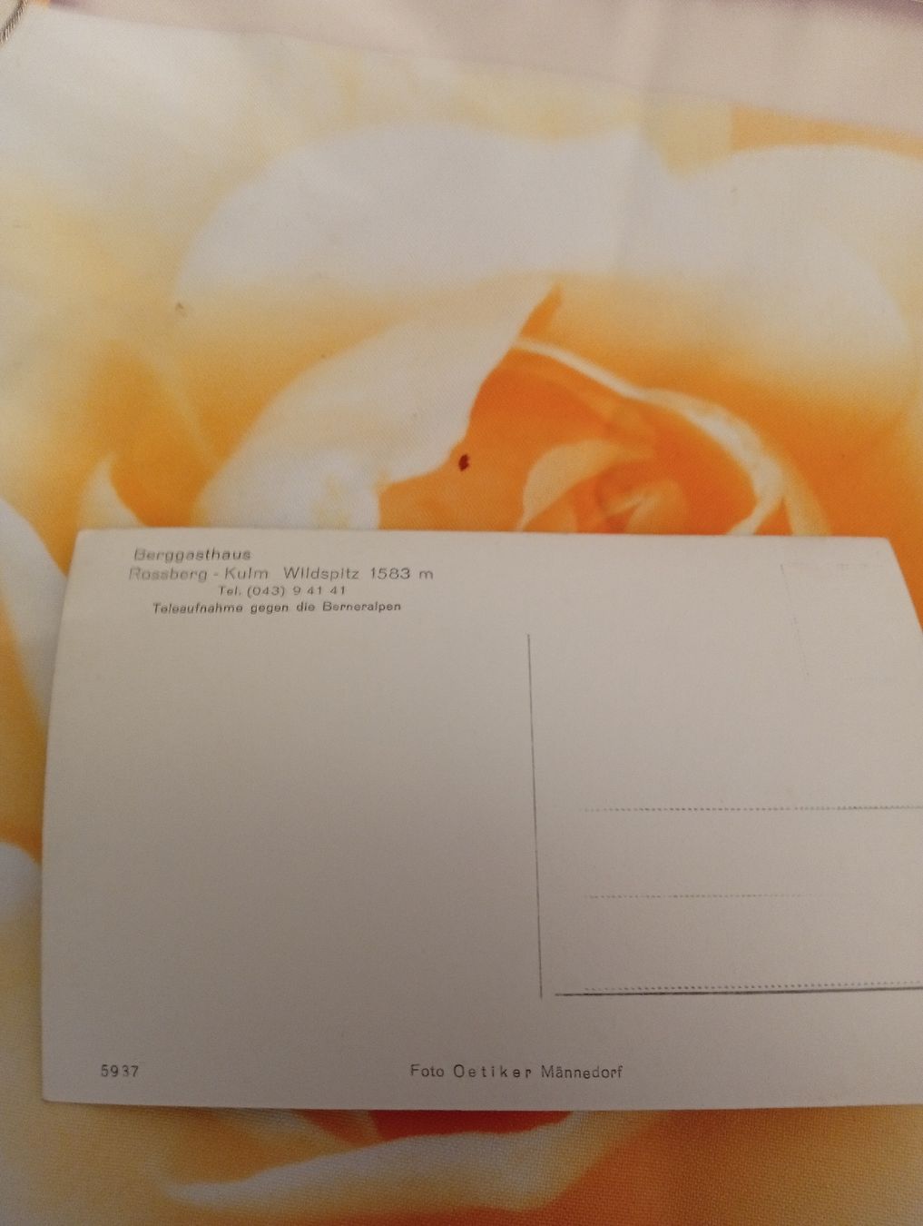 Cartoline postali: Alte Ansichtskarte Berner Alpen, Berggasthaus Wildspitz. – Usato da Engelburg venduto da CH.Me 1
