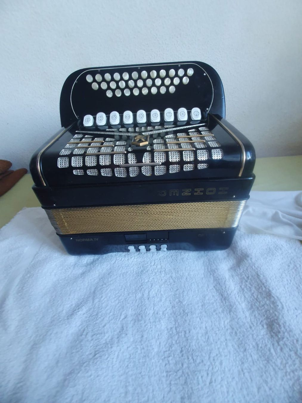 Instruments de musique: Hohner Norma IV De Luxe inkl. Koffer – D'occasion à Basel par FirstClass4000 1