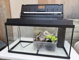 Juwel Aquarium 110L