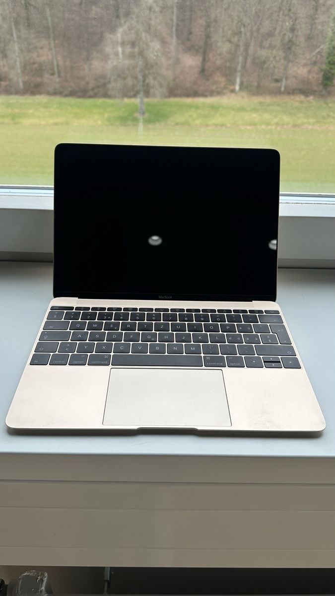 Apple Notebook: Macbook Retina gold – Usato da Pfäffikon ZH venduto da iva_7ktw