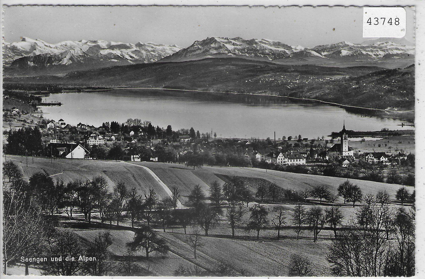 Cartoline postali: Seengen und die Alpen – Usato da Ettingen venduto da Kartenplanet