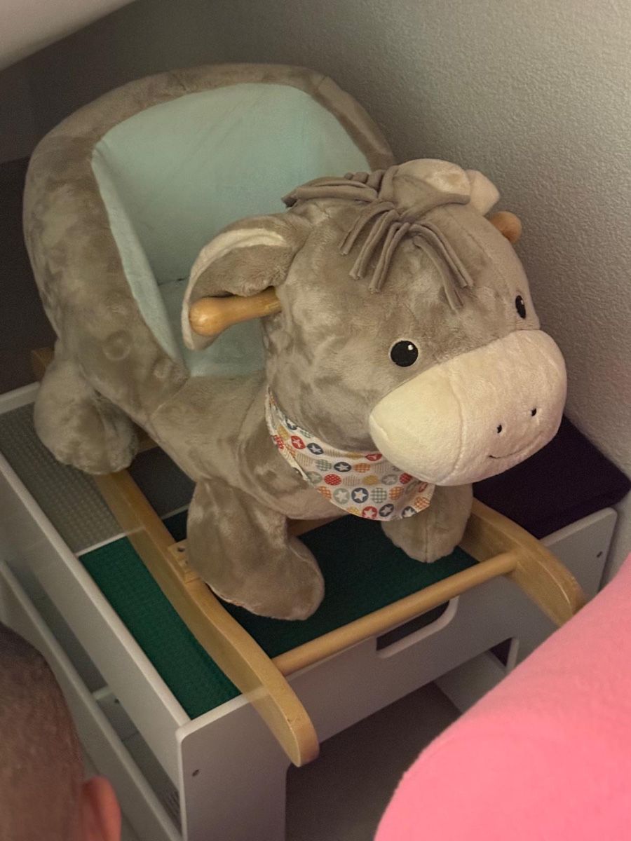 Altre altalene da giardino: Sterntaler Emmi Rocking Donkey – Nuovo (secondo la descrizione) da Lyss venduto da Compratrice