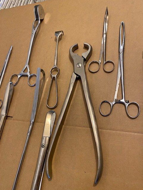 Swiss Tutti gli attrezzi: LOT TIERARZT  INSTRUMENTE – Usato da Chur venduto da silbermon 3