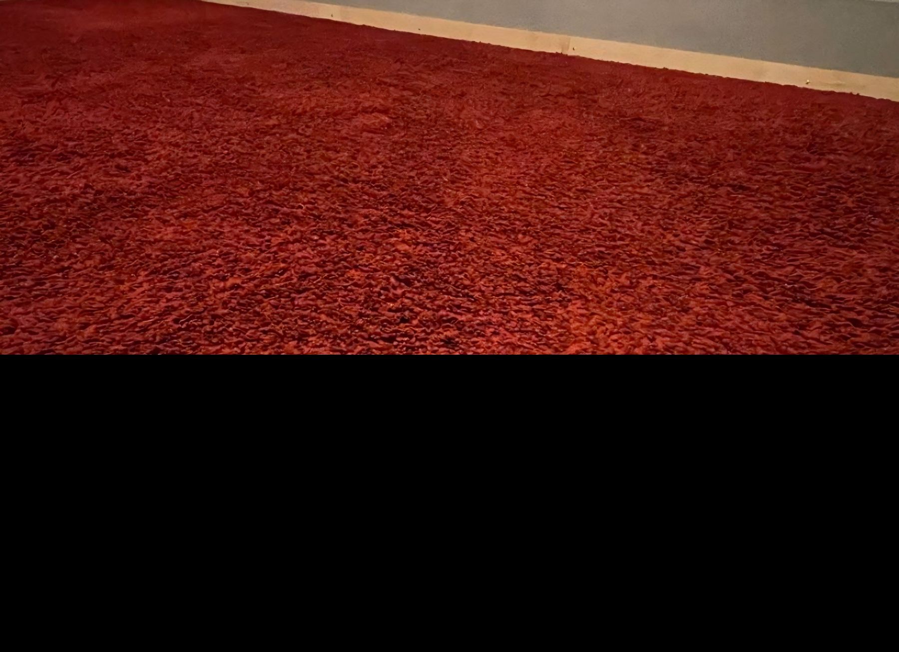Tapis: flauschigen Teppich in Bordeauxrot – D'occasion à Lengnau BE par hus_w5ln 2