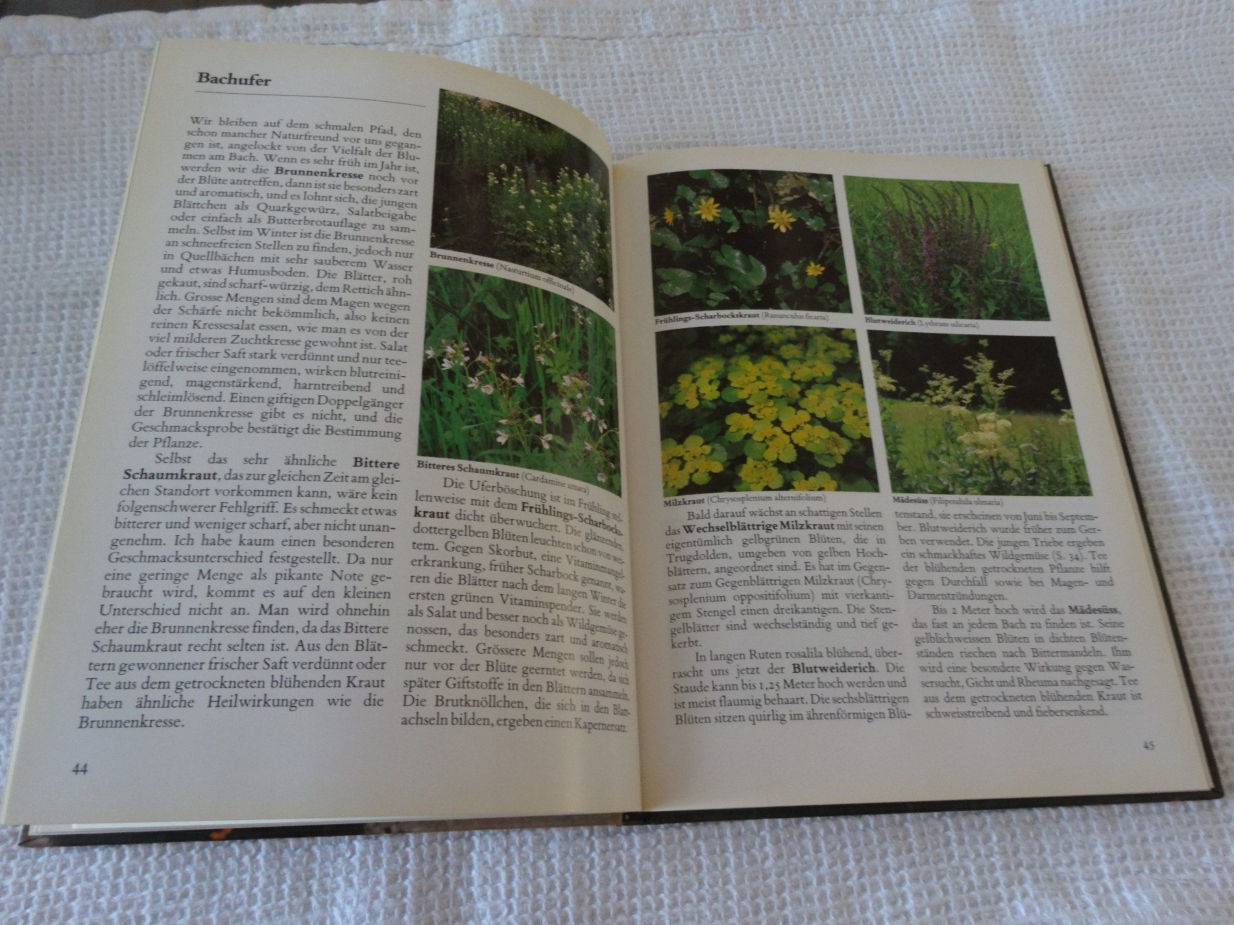 Libri: Streifzug durch Wald und Wiese – Usato da Neerach venduto da jenny062 5