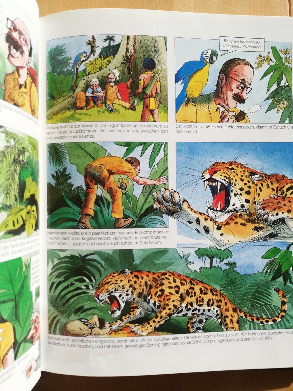 Fumetti: Crazy Oma - Im Regenwald – Usato da Hildisrieden venduto da Malve 2